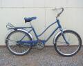 The Skeltons' bicycles