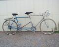 The Skeltons' bicycles